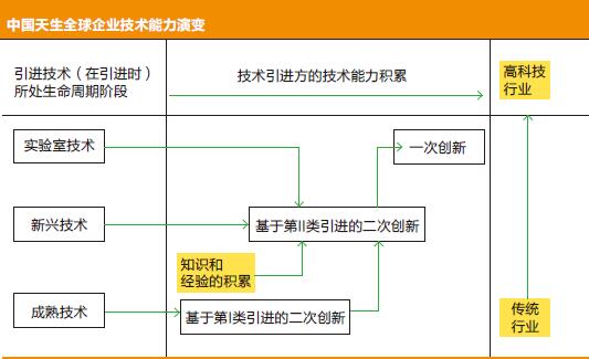 天生全球企业-中国天生全球企业技术能力演变