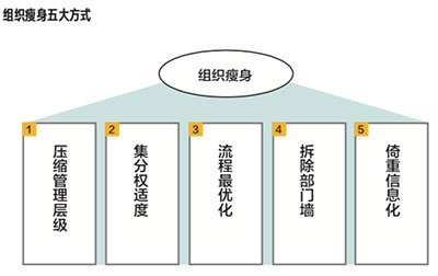 让肥胖的组织瘦身★