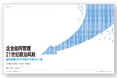 英摘4