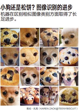 人工智能概览★