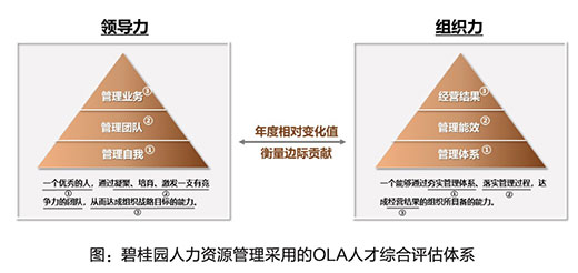 开辟新蓝海：碧桂园的企业战略生物学